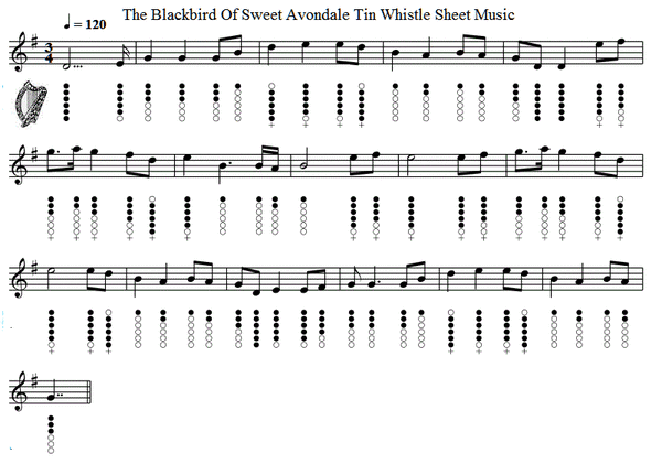 The blackbird of sweet Avondale sheet music and tin whistle notes