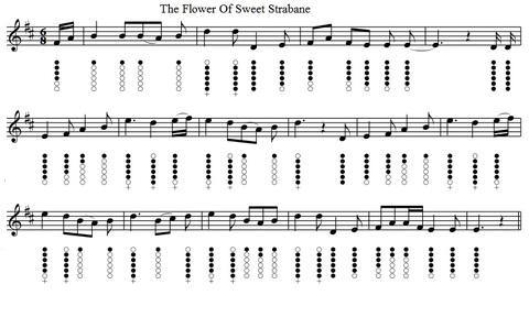 The flower of sweet Strabane sheet music and tin whistle notes