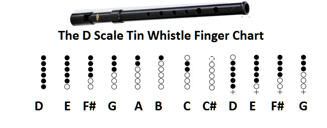 The D Whistle Finger Scale