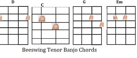 Beeswing tenor banjo chords