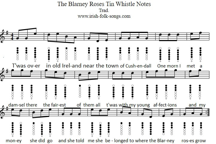 The Blarney Roses sheet music notes