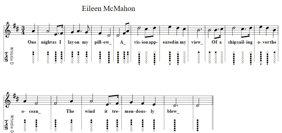 Eileen McMahon tin whistle notes by Catroina