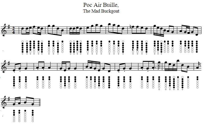 An Poc An Buile sheet music and tin whistle notes