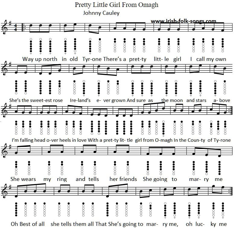 Pretty little girl from Omagh tin whistle sheet music