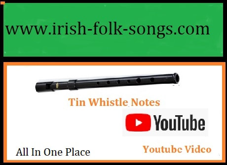 Promoting Irish Tin Whistle Playing