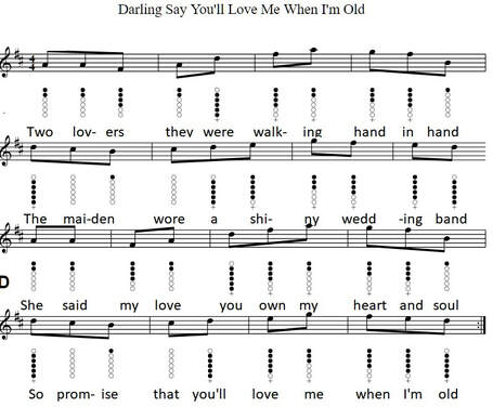Sheet music notes Darling say you'll love me when I'm old