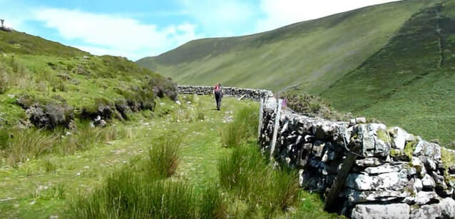 The Galtee Mountains Tipperary showing stone wall and grass track