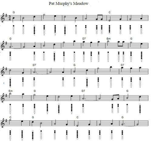 Pat Murphy's Meadow sheet music notes
