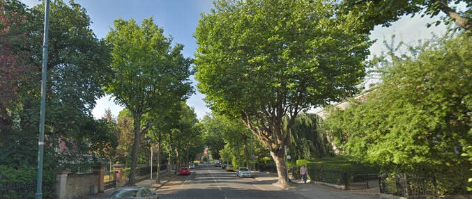 Raglan Road Dublin showing the tree lined road and large houses