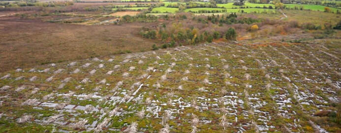 A raised bog in Ireland example