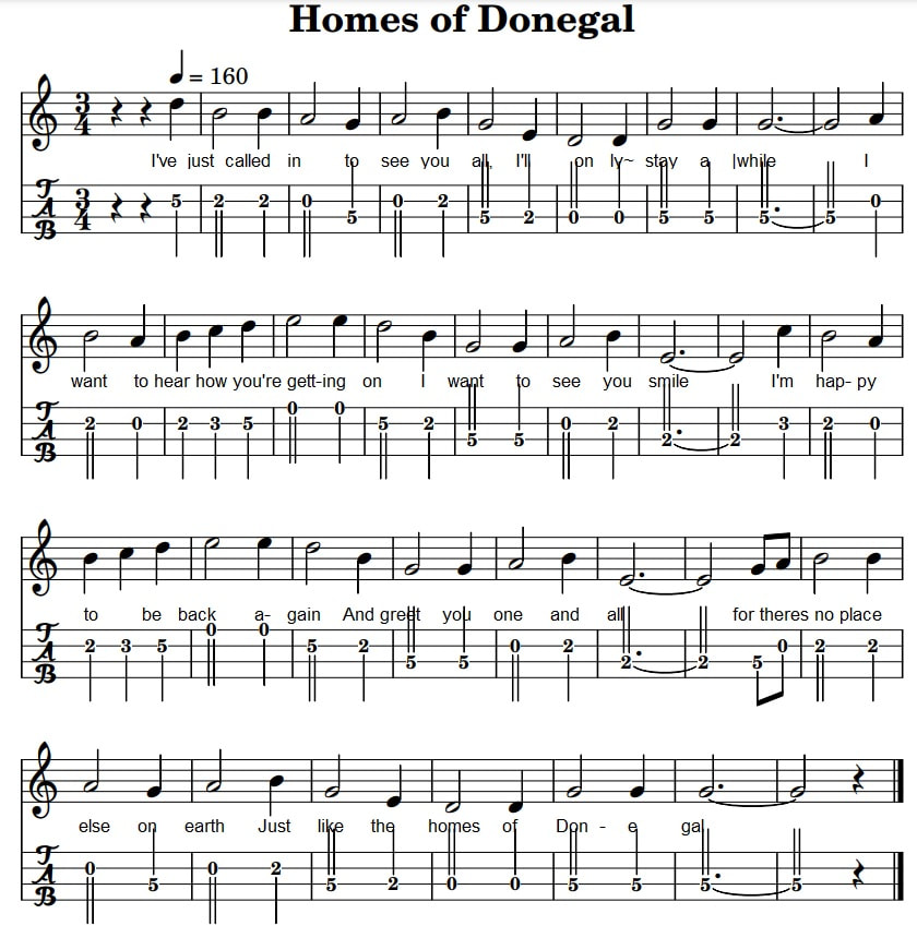 The Homes Of Donegal Fiddle Sheet Music For Beginners