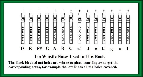 Tin whistle finger position guide for where to place you're fingers