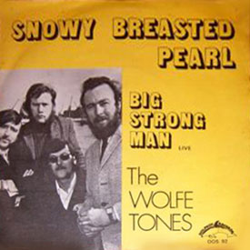Photo of Big Strong Man album cover by The Wolfe Tones