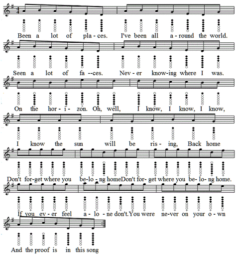 Don't Forget Where You Belong Tin Whistle sheet Music by One Direction