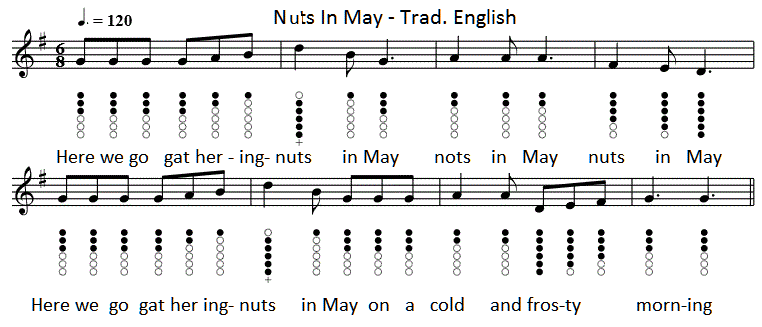 nuts in my sheet music for tin whistle
