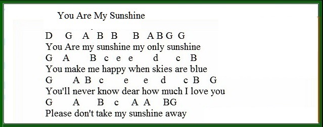 You are my sunshine easy tin whistle version