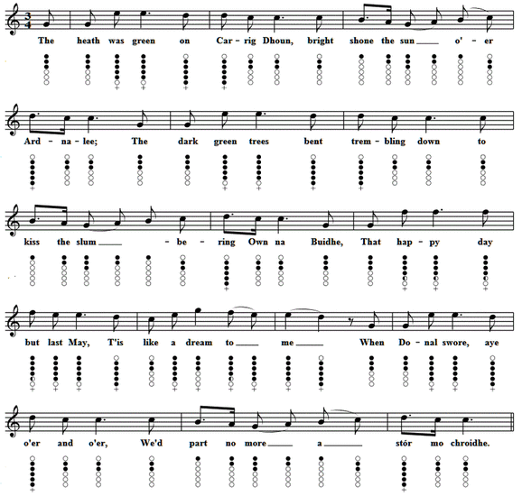 Carrigdhoun sheet music notes