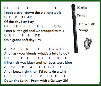 Galway girl music letter notes