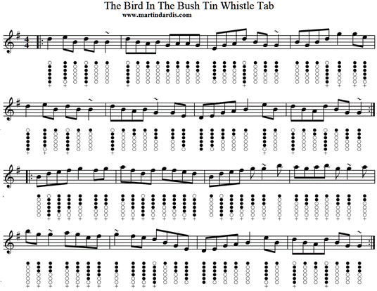Bird In The Bush Tin Whistle sheet music