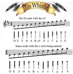 the D whistle scale