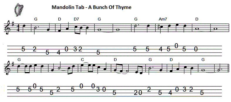 a bunch of thyme banjo tab