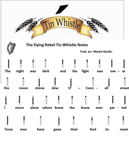 the dying rebel tin whistle notes