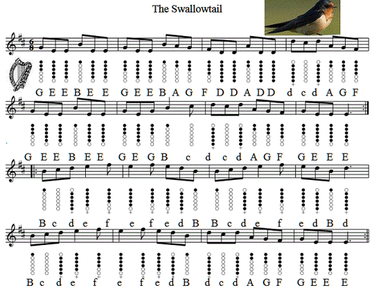 The Swallowtail Jig Tin Whistle Sheet Music