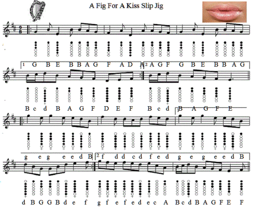 A Fig For A Kiss Tin Whistle Sheet Music