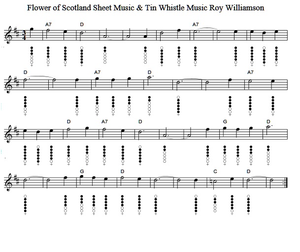 Flower of Scotland tin whistle sheet music notes