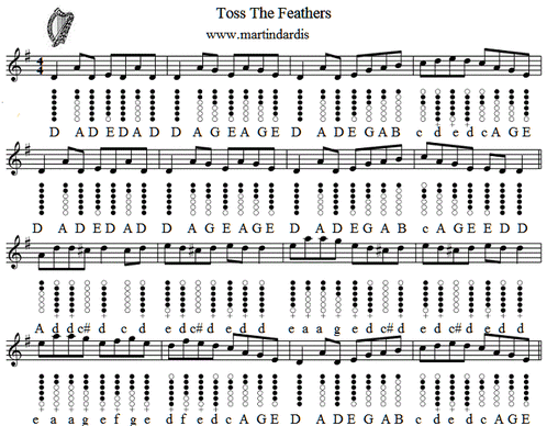 Toss The Feathers Tin Whistle Sheet Music