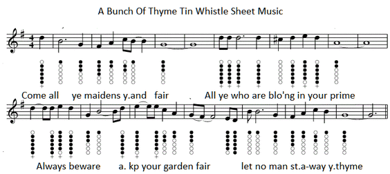 a bunch of thyme tin whistle sheet music
