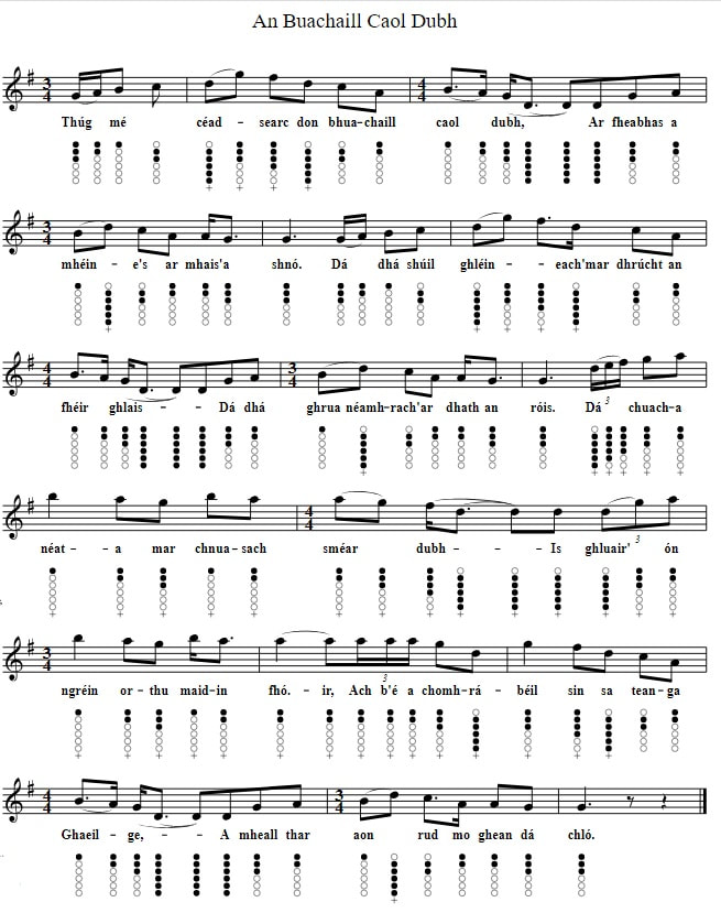 An Buachaill Caol Dubh Song Sheet Music and tin whistle notes