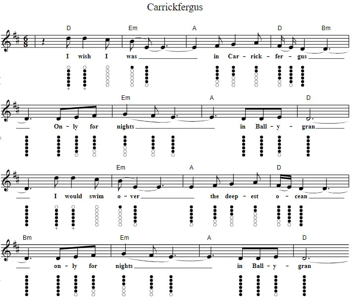 Carrickfergus tin whistle notes in D Major