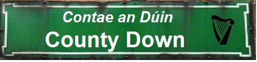 County Down Road Sign