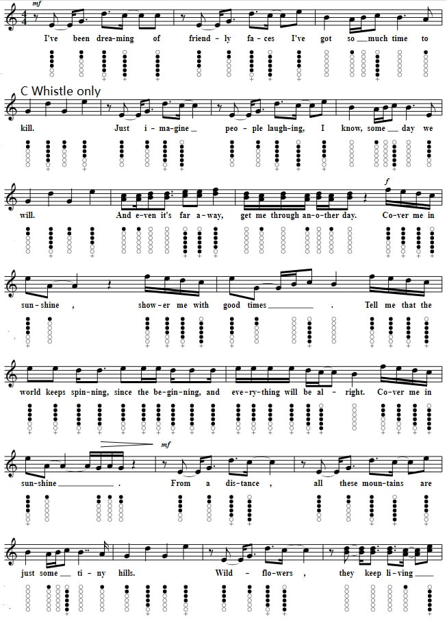 Cover Me In Sunshine Sheet Music And Tin Whistle Notes By Pink in C Major key