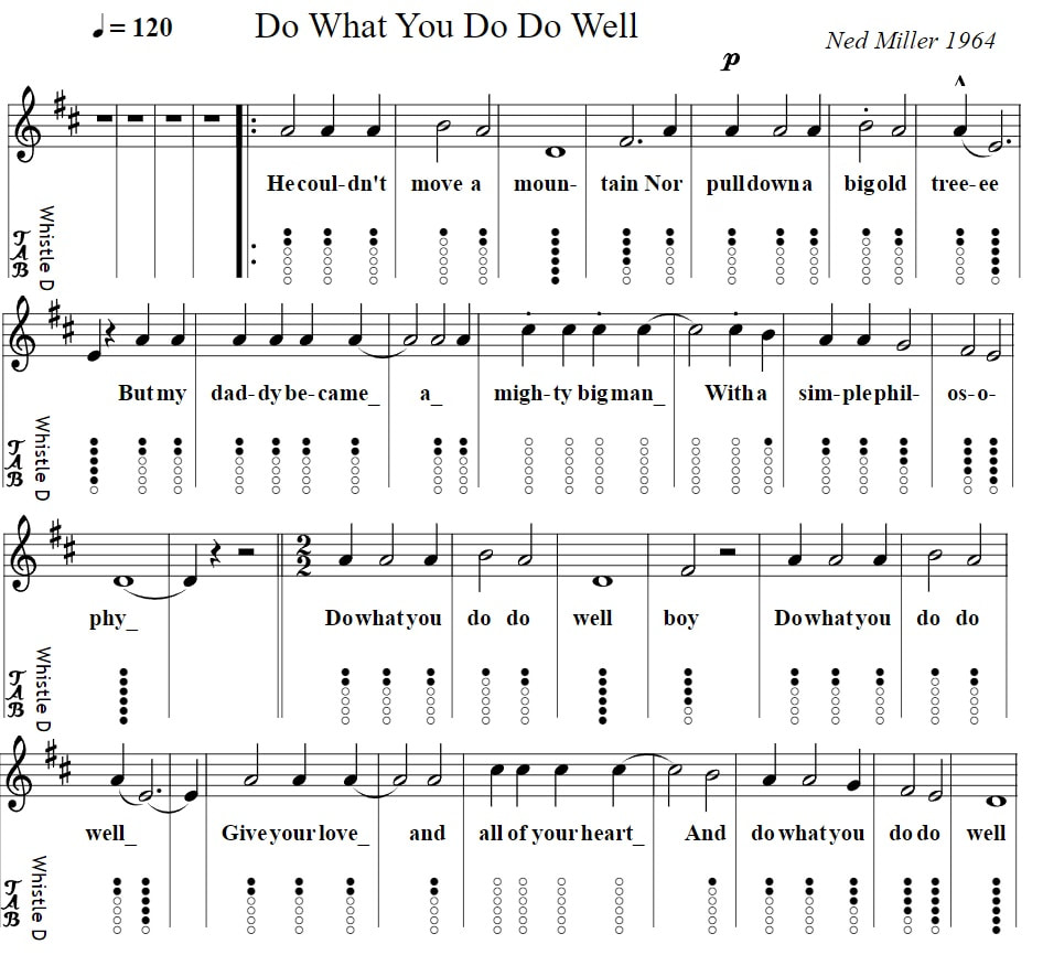 Do What You Do Do Well Sheet Music and tin whistle noted by New Miller