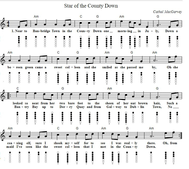 The star of the county Down sheet music for tin whistle in C