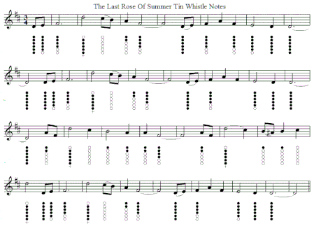 The last rose of summer tin whistle sheet music notes