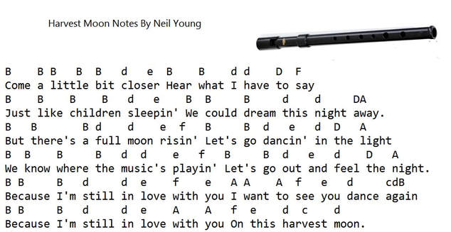 Harvest Moon Tin Whistle Notes By Neil Young