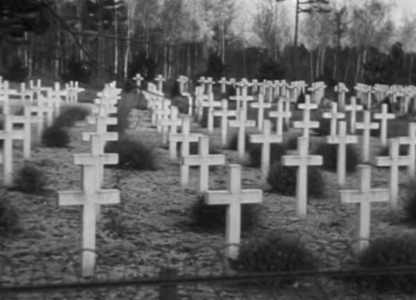 Lines of white crosses mark the graves in France