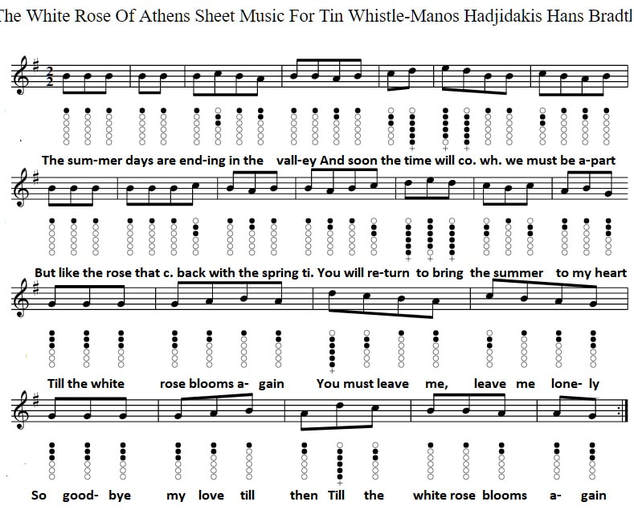 The White Rose Of Athens Lyrics Chords & Sheet Music Notes - Irish folk  songs