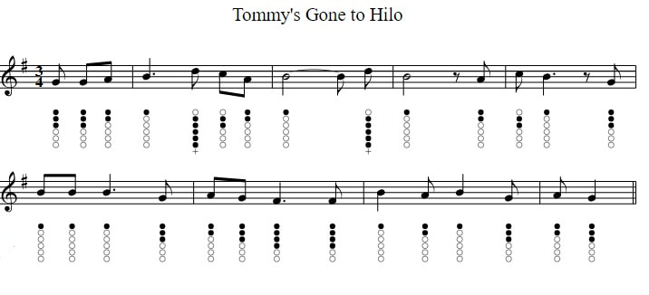 Johnny's gone to Hilo sheet music notes