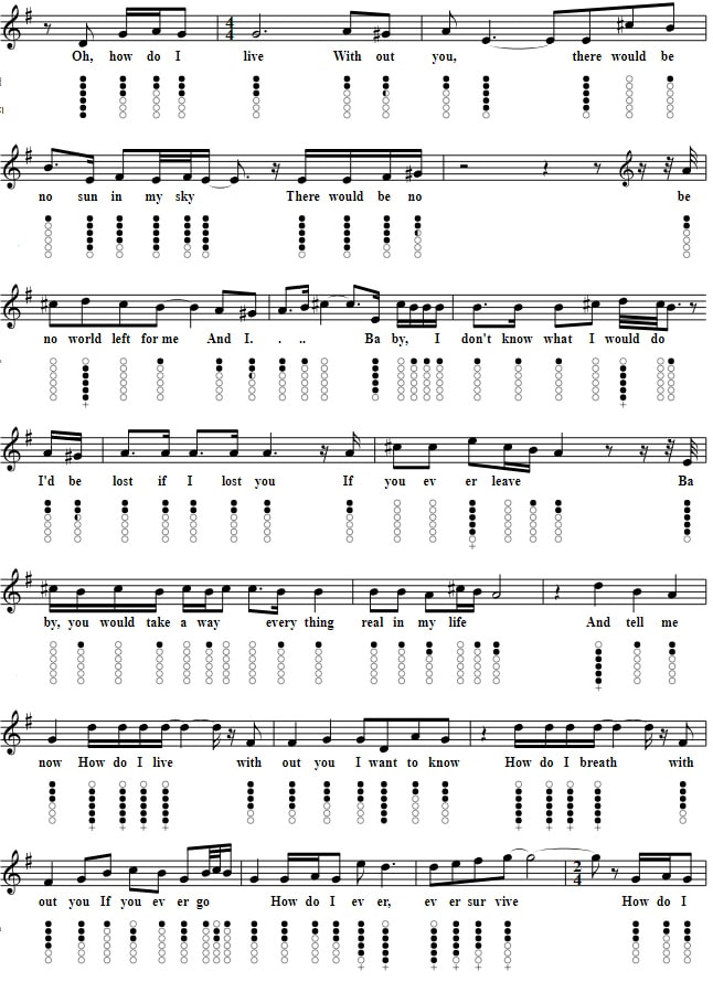 How Do I Live Without You Tin Whistle Tab part two