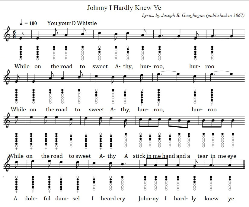Johnny I Hardly Knew e Tin Whistle Sheet Music Notes IN D