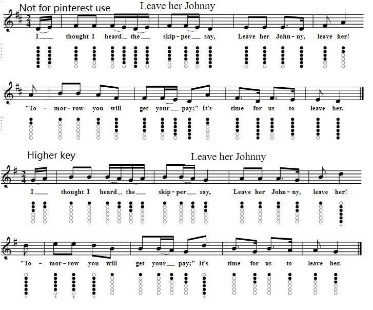 Leave here Johnny tin whistle sheet music notes