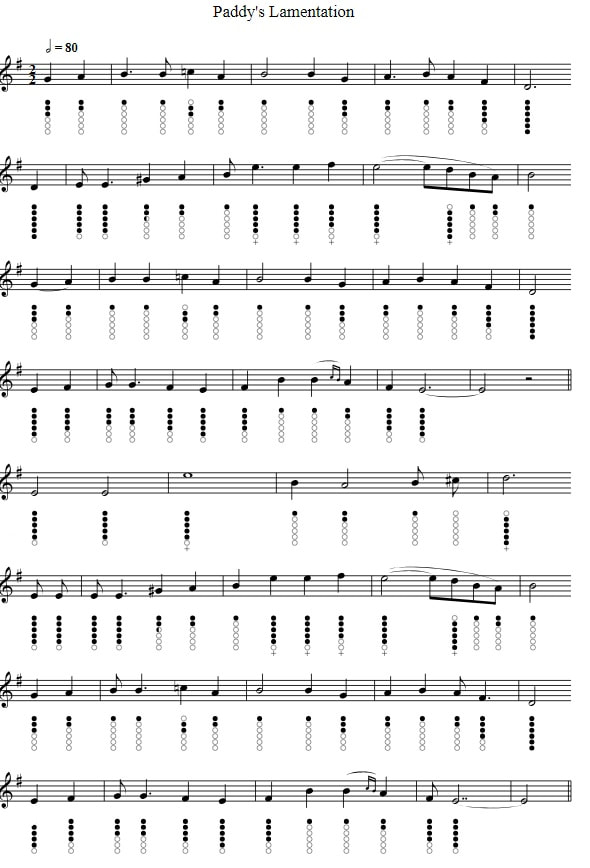 Paddy's Lamentation sheet music notes