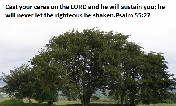 Psalm 55:22 The Bible Cast your cares on The Lord