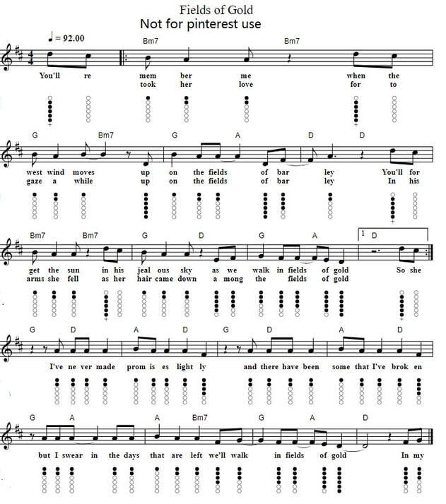 Fields of gold sheet music for tin whistle with chords