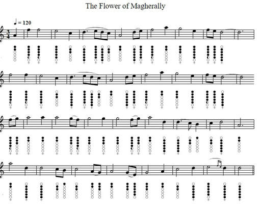 The flower of Magherally sheet music notes for tin whistle