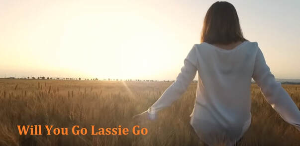 Lassie / girl walking in field of corn wearing white top